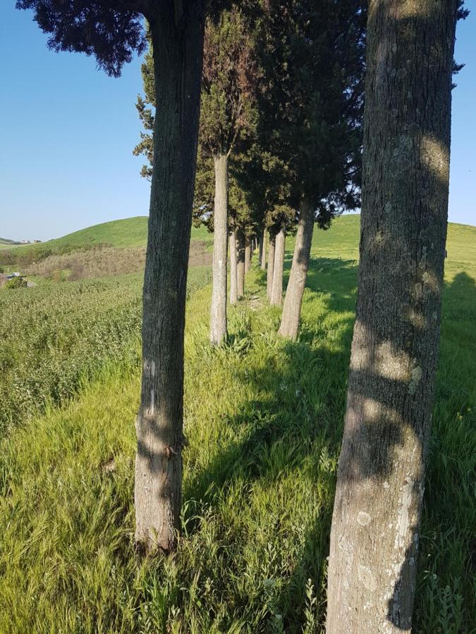 Villa Niccoli Castelfiorentino Esterno foto