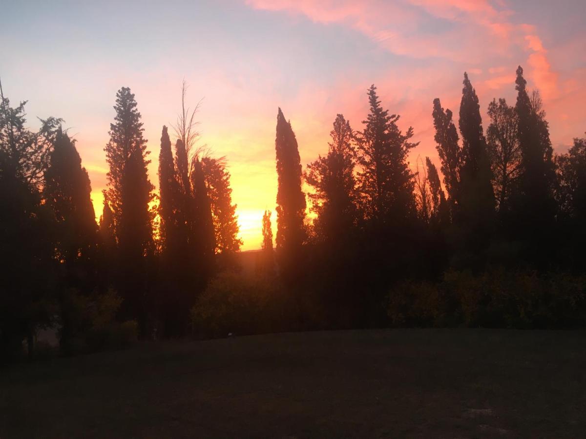 Villa Niccoli Castelfiorentino Esterno foto