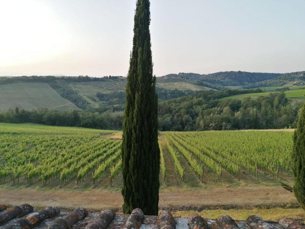 Villa Niccoli Castelfiorentino Esterno foto